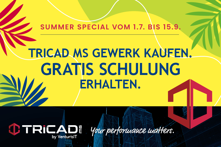 TRICAD MS Summer Special: BIM Software und die Schulung gratis dazu